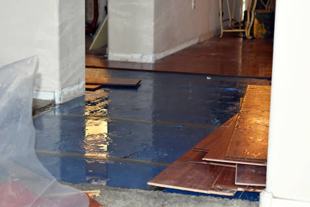 Professional Water Damage Repair technician working in Meyersville, TX